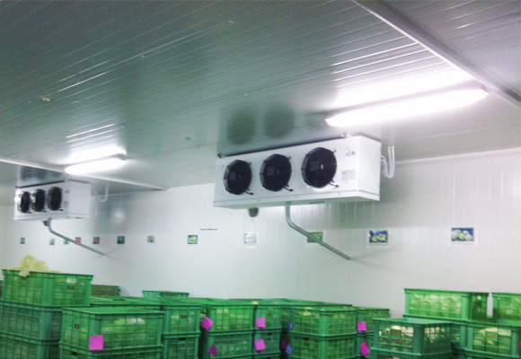 嘉興水果氣調(diào)庫(kù)安裝設(shè)計(jì)