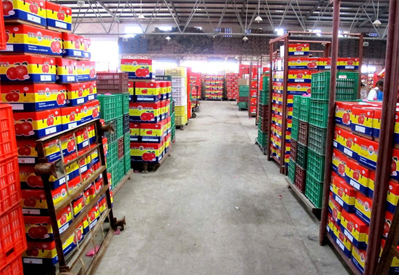 嘉興氣調(diào)保鮮貯藏庫(kù)