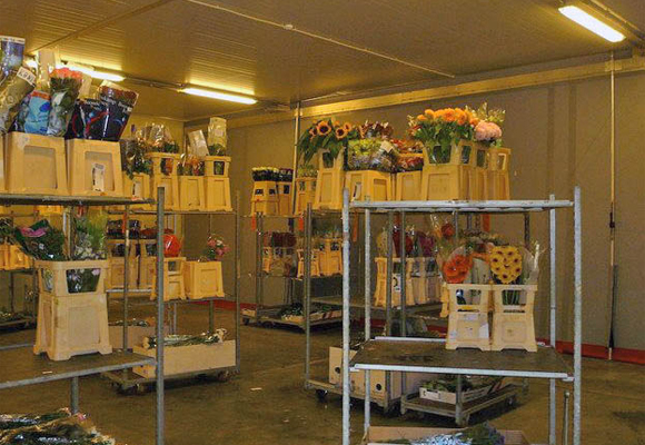 嘉興保鮮庫設計定做