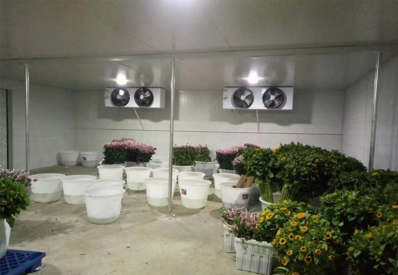 嘉興鮮花保鮮庫設計安裝