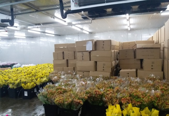 嘉興花卉溫控保鮮庫(kù)