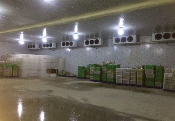 嘉興水果保鮮庫(kù)安裝